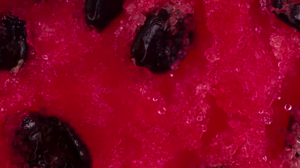Wassermelonen Zuckermark Auspressen Scheiben Und Scheiben Von Wassermelonen Werden Komprimiert — Stockvideo