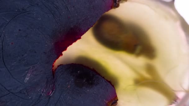 Knijp Ripe Black Grape Berry Helften Hele Zwarte Druiven Worden — Stockvideo