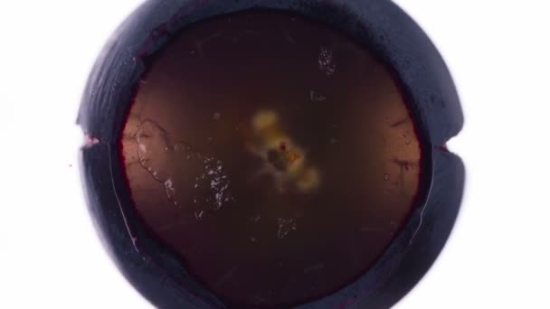 Schiacciare Juicy Black Grape Metà Uva Nera Intera Vengono Spremute — Video Stock