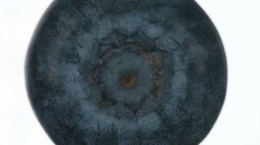 Sulu yaban mersini patlatıyorum. Büyük bahçe böğürtlenleri sıkıştırılır ve parlak beyaz bir arka planda ezilerek sulu bir posa ve kabuk patlaması yaratır. 120fps 'te atış