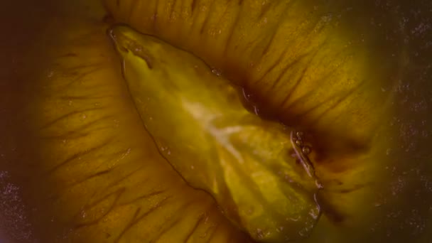 Tranche Prunes Lentement Écrasée Les Tranches Prunes Bleues Mûres Sont — Video