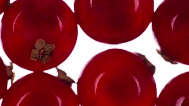 Ściśnij Dużo Czerwonych Porzeczek Pachnące Dojrzałe Czerwone Jagody Porzeczki Ściśnięte — Wideo stockowe