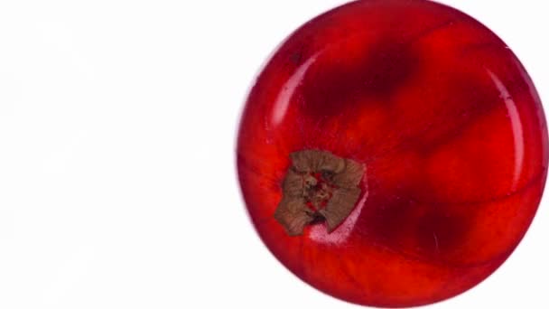 赤スグリを1つ絞る 香り高い熟した赤いスグリの果実は 明るい白い背景の上に圧迫され 粉砕され ジューシーなパルプとシェルの流れを作り出します 120Fpsで撮影 — ストック動画