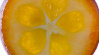 Fortunella 'nın Dilimlerini sık. Kumquat Fruit, parlak beyaz bir arka planda sıkıştırılıp ezilerek sulu bir hamur ve meyve suyu serpintisi oluşturur. 120 fps 'te atış.