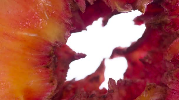 ジューシーな桃のパルプを絞る 香り高い熟した桃のスライスは 明るい白い背景に圧縮され 粉砕され パルプとシェルのジューシーなストリームを作成します 120Fpsで撮影 — ストック動画