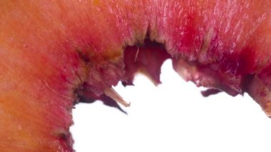 Bir dilim şeftali yavaşça ezildi. Kokulu olgun şeftali dilimleri sıkıştırılır ve parlak beyaz bir arka planda ezilerek sulu bir Pulp ve kabuk akışı oluşturulur. 120fps 'te atış