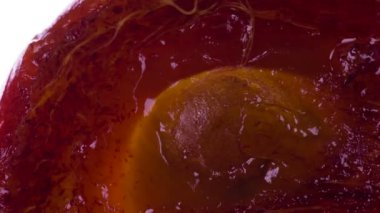 Sıkıştır Pulp Olgun Persimmon. Hurma dilimleri ve parçaları sıkıştırılır ve parlak beyaz bir arka planda ezilerek sulu bir posa ve kabuk patlaması yaratır. 120fps 'te atış