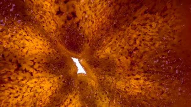 Zmiażdż Pachnący Kawałek Persimony Plastry Kawałki Persimmon Ściśnięte Zgniecione Zbliżenie — Wideo stockowe