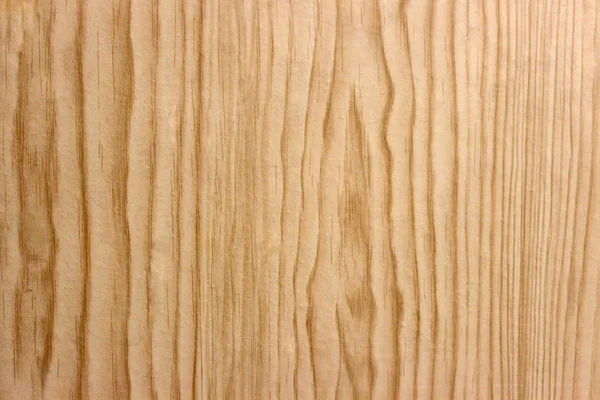 Light wood texture with fibers. Wood texture for design. Background template.