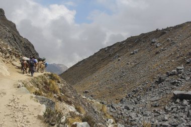 Machu Pichuu Pueblo, Peru - 13 Eylül 2018: Kimliği belirsiz ve Peru'da Cuzco yakınındaki andes eşek karavanda. Salkantay dağın.