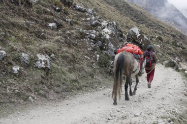 Machu Pichuu Pueblo, Peru - 13 Eylül 2018: Andes Peru'da Cuzco yakınındaki bir atı ile kimliği belirsiz bir kadın. Salkantay dağın.