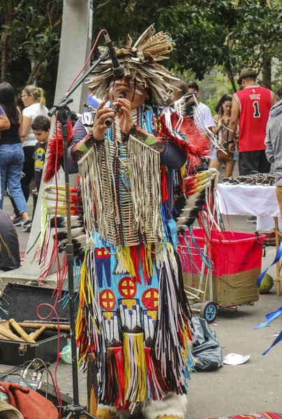 Sao Paulo Brazil November 2018 Unidentified Peruvian Group Playing Paulista — Stock Photo, Image