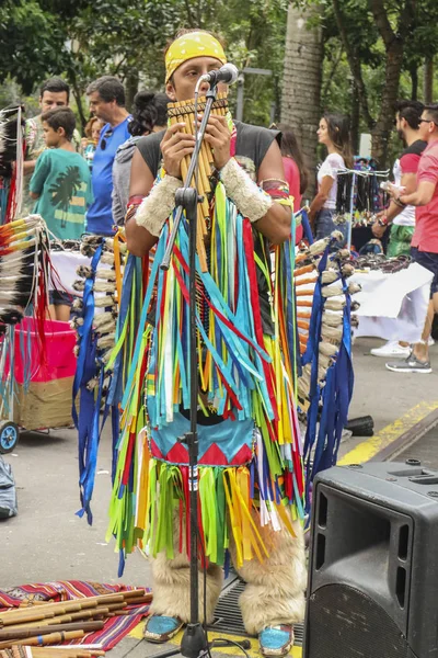 Sao Paulo Brazil November 2018 Unidentified Peruvian Group Playing Paulista — Stock Photo, Image