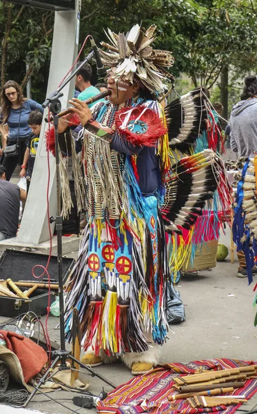 Sao Paulo Brazil November 2018 Unidentified Peruvian Group Playing Paulista — Stock Photo, Image