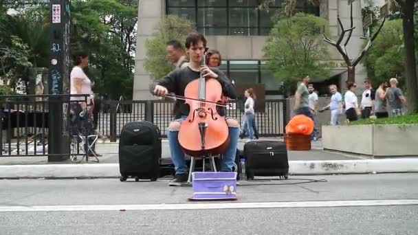 Sao Paulo Brazil November 2018 Unidentified Musician Playing Classical Sound — Stock Video