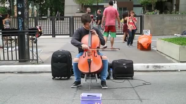 Sao Paulo Brazil November 2018 Unidentified Musician Playing Classical Sound — Stock Video