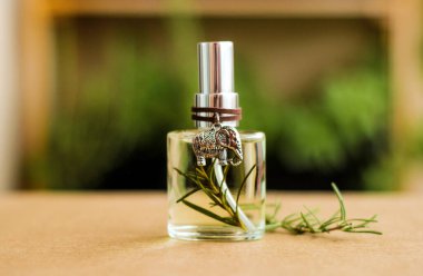 Aromatik sprey sprey oda spreyi şeffaf bir mini cam şişede biberiyeli.