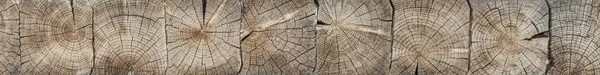 Logs Stacked Horizontally Texture Transverse Surface — Stock Photo, Image