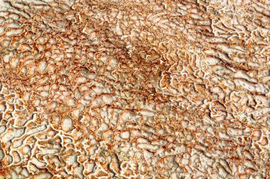 Kireçtaşı karmaşık desenleri şeklinde yüzeyi. Doku akan tarafından yapılan su Türk Pamukalle uzun yıllardır. İlginç bir doğal olay.