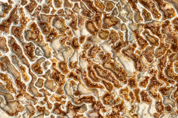 Die Oberfläche Des Kalksteins Form Von Komplizierten Mustern Die Textur — Stockfoto