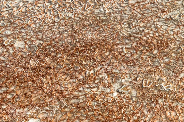 Die Oberfläche Des Kalksteins Form Von Komplizierten Mustern Die Textur — Stockfoto