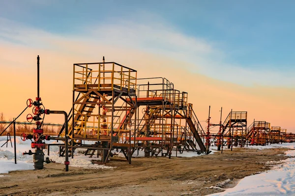 Олія Експлуатаційні Свердловини Розташовані Поспіль Нафтового Родовища Західному Сибіру Сонячний — стокове фото