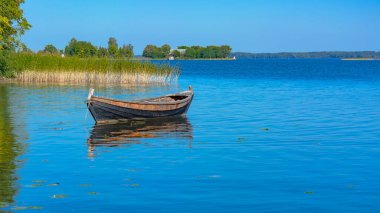 Güneşli bir yaz gününde Onega Gölü 'ndeki Kizhi adasında manzara. Gölde, su bitkilerinin arasında yapayalnız bir balıkçı teknesi. Uzakta, gölün karşı kıyısında.