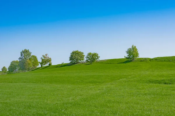 Güneşli bir yaz gününde Onega Gölü 'ndeki Kizhi adasında manzara. Yeşil çayır ve tepenin üstünde ağaçlar olan manzaralı bir yer.