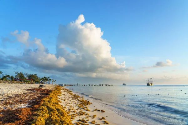 Punta Cana, Dominikánská republika - 17 červen 2018: Hroznovice řasy na pláži oceánu beaytiful v Bavaro, Punta Cana, v důsledku globálního oteplování klimatu změna. — Stock fotografie