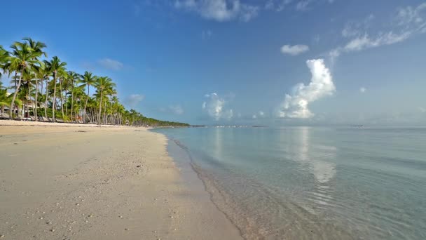 Красивий океанський пляж в домініканській республіці — стокове відео