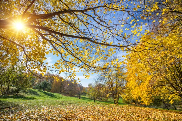 Soleado otoño en el campo —  Fotos de Stock