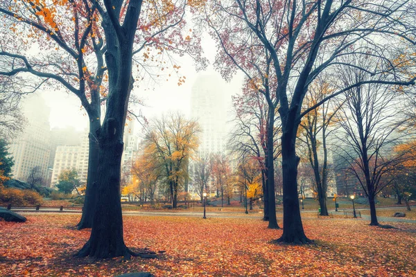 NY Central park bij regenachtige ochtend — Stockfoto