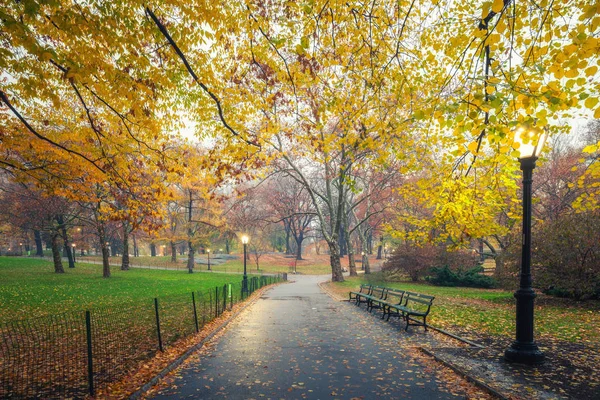 NY Central park op mistige ochtend — Stockfoto