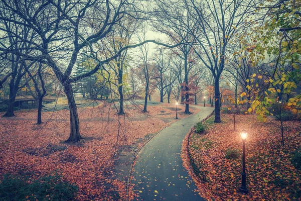 NY Parque central en día lluvioso — Foto de Stock