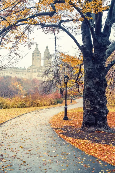 NY Central park en la mañana brumosa — Foto de Stock