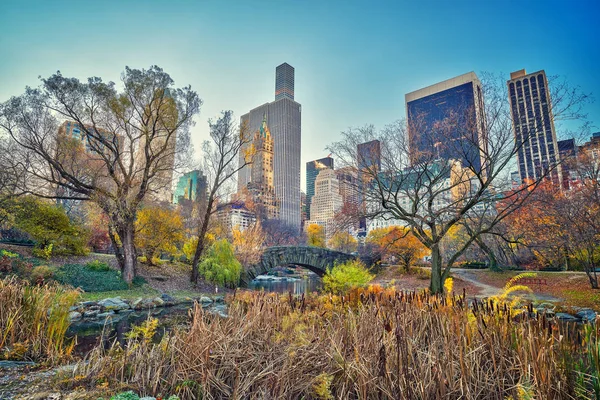 Central park at autumn morning — Stock Photo, Image