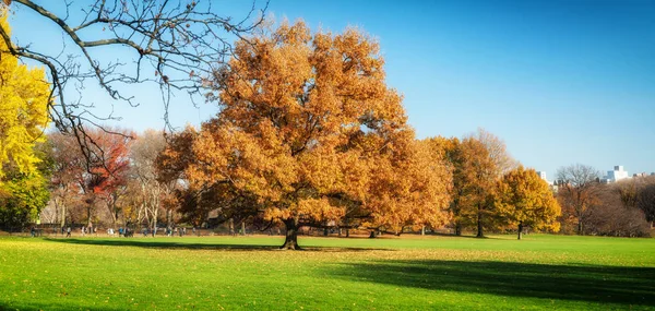 Central Park an sonnigem Herbsttag — Stockfoto
