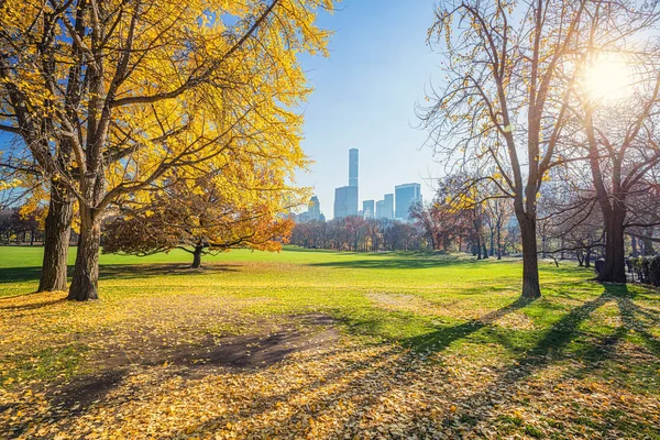 Central park på solig höstdag — Stockfoto