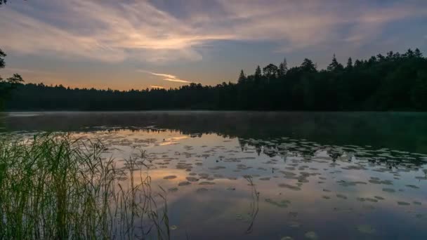 Время восхода тумана над лесным озером — стоковое видео