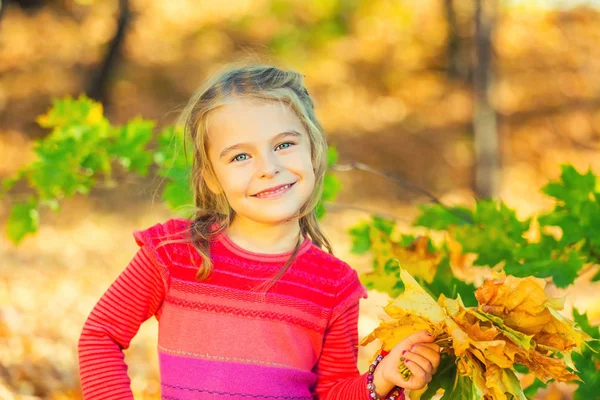 Sonbahar yaprakları ile mutlu küçük kız — Stok fotoğraf