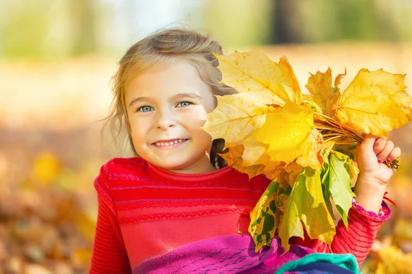 Happy little girl with autumn leaves — Stock Photo, Image