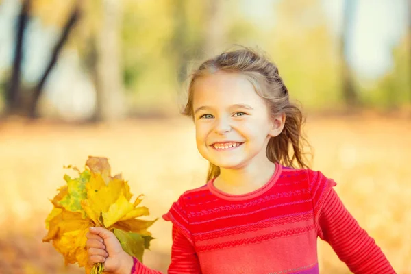 Menina feliz com folhas de outono — Fotografia de Stock