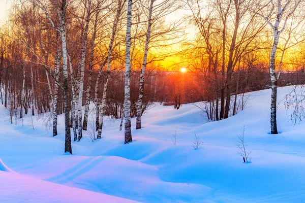 Pôr-do-sol de inverno colorido — Fotografia de Stock