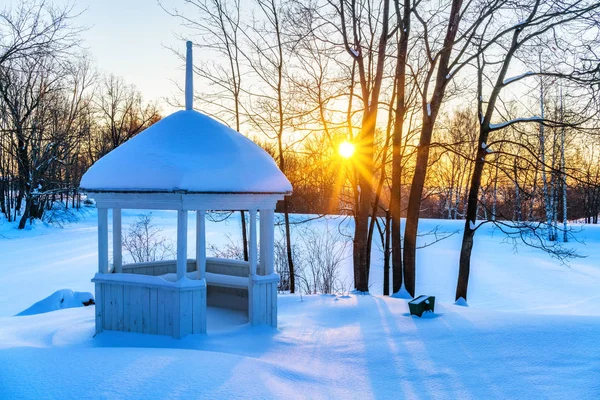 Färgglada vinter solnedgång i en park — Stockfoto