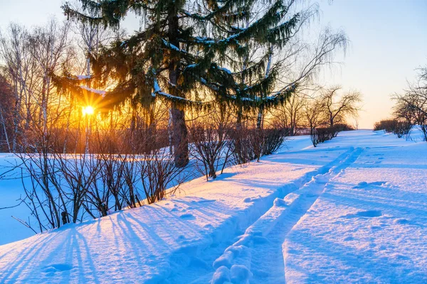 Campagna invernale — Foto Stock