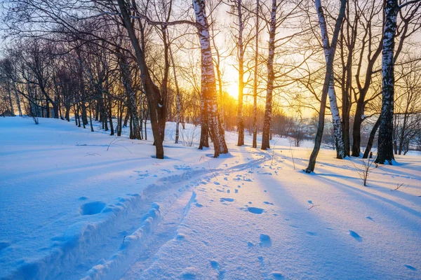 Campo en invierno —  Fotos de Stock