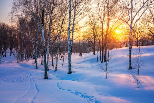 Colorato tramonto invernale — Foto Stock