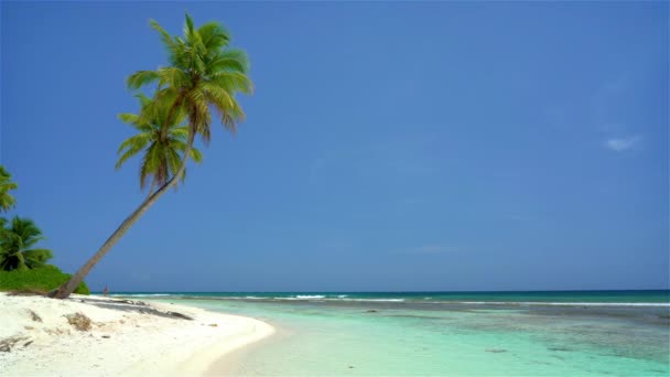 Linda praia oceânica na república dominicana — Vídeo de Stock