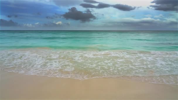 Prachtige oceaan strand in Dominicaanse Republiek — Stockvideo