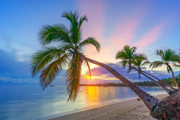 Lever de soleil sur la plage tropicale — Photo